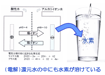 電解飽和水素水生成器 アキュエラブルーは本当に良いのか