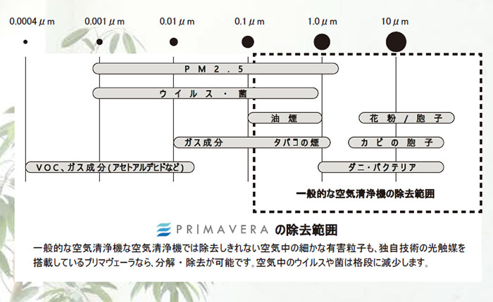 除去範囲