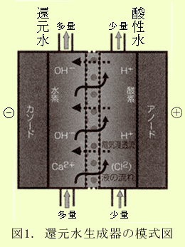 還元水生成器の模式図